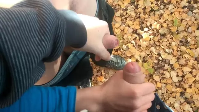 Однажды в Питере Однажды в Питере
