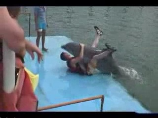 Humping Inflatable Dolphin Порно Видео | mehendi-shop.ru Порно видео надувные дельфины