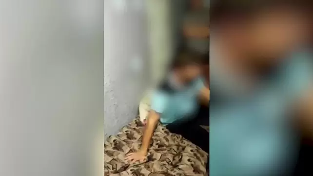 Энни Спринкл — Википедия Энни Спринкл — Википедия