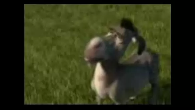 Shrek dragon порно видео