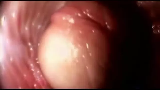 HARDCORE ANAL PRONE BONE !! Йога трах на мяче, камера внутри влагалища - Бесплатное порно - YouPorn HARDCORE ANAL PRONE BONE !! Йога трах на мяче, камера внутри влагалища - Бесплатное порно - YouPorn