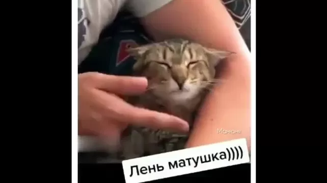 ДВЕ ГОСПОЖИ И РАБ ПИЗДОЛИЗ ДОММАШНЕЕ ПОРНО ОНЛАЙН - Топ порно online ДВЕ ГОСПОЖИ И РАБ ПИЗДОЛИЗ ДОММАШНЕЕ ПОРНО ОНЛАЙН - Топ порно online