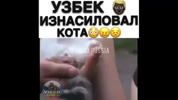 Узбек изнасиловал котёнка смотреть онлайн или скачать